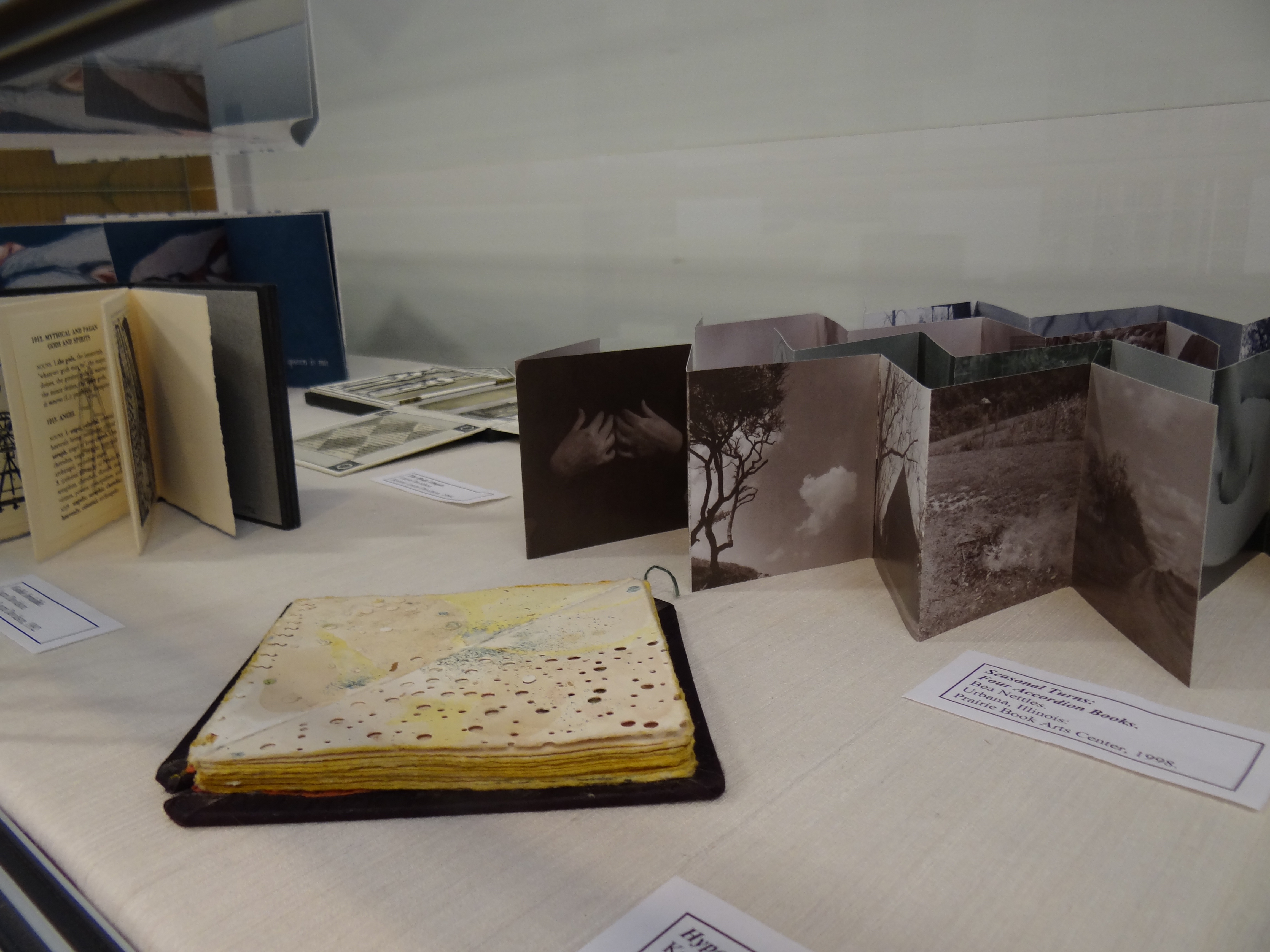 Artists' Books - Making Books by Hand - Topeka & Shawnee County Public  Library