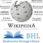 Wikipedia and BHL Logos