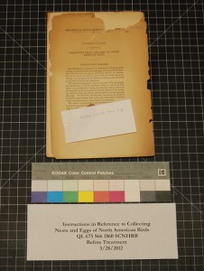 Pamphlet Before Treatment