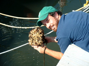 A researcher at SERC. 