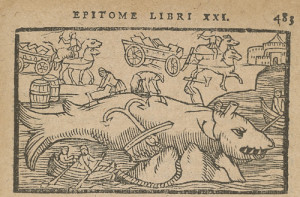 From " Historiae de gentibus septentrionalibus"