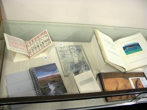 Artists' book display