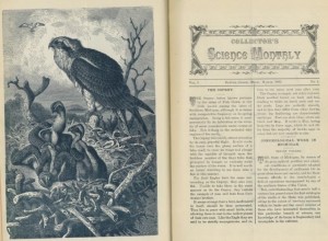 The "Collector's Science Monthly" contained impressive illustrations of nature. 