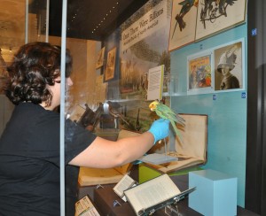 Carolina parakeet installation for "Once There Were Billions"