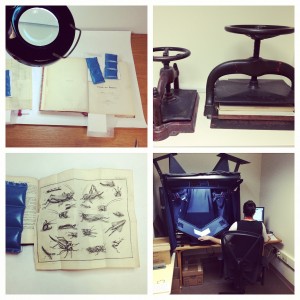 Conservation & Digitization Annex