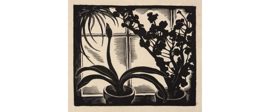 Window Plants, wood engraving by Howard Cook, 1931 (Smithsonian American Art Museums, no. 1980.122.142)