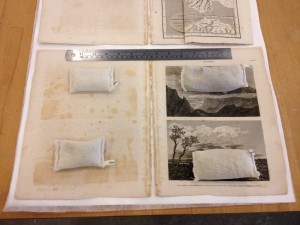 Creating Sections for the Plates