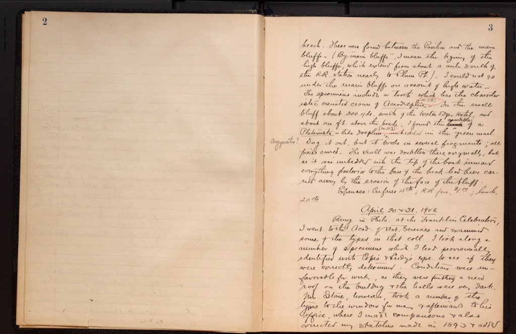 True. F.W. U. S. National Museum log book of collecting trips for fossil cetaceans (1906-08). Digitized by the Smithsonian Institution Archives for The Field Book Project. http://biodiversitylibrary.org/page/46701241