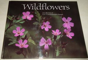 wildflowers