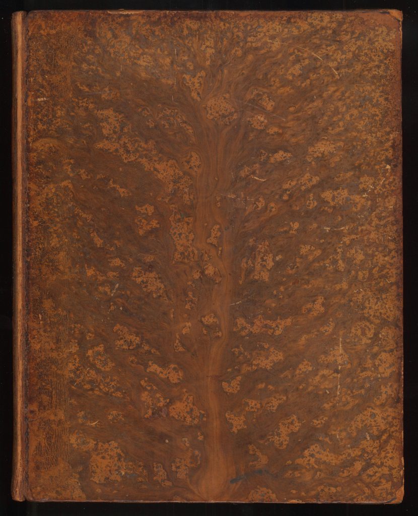 A tree calf binding for M. Voiron, Histoire de l’astronomie, depuis 1781 jusqu’à 1811 (Paris, 1810)