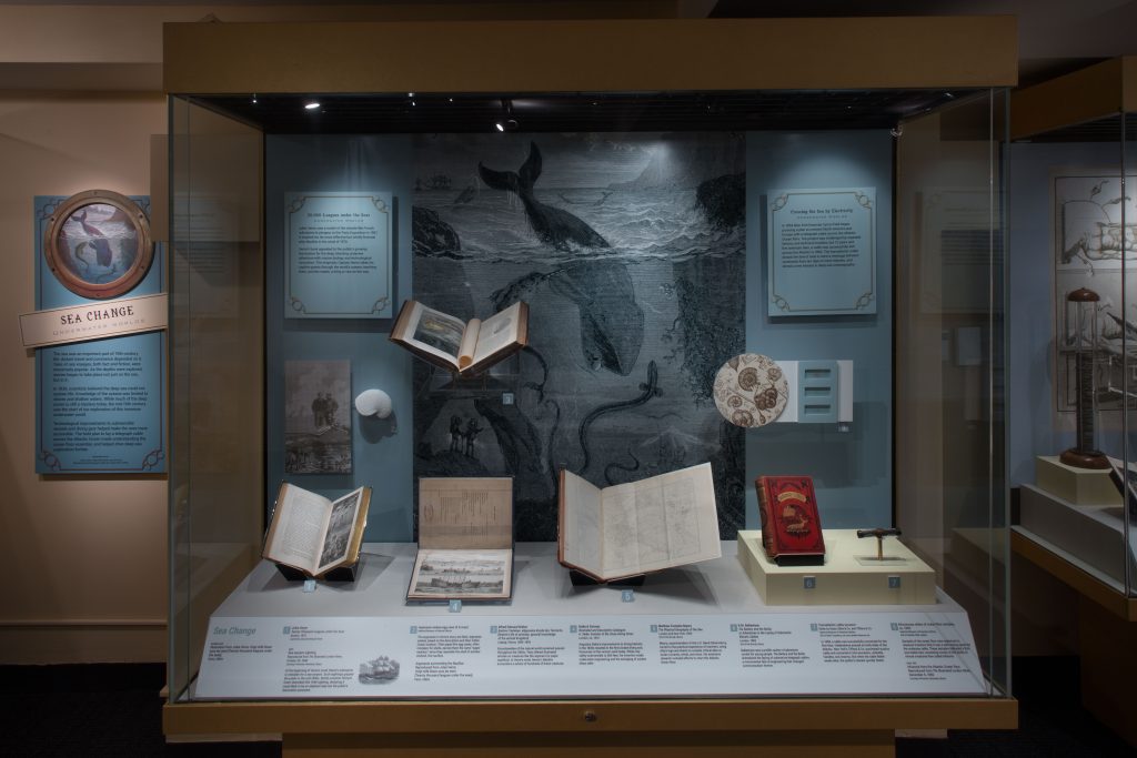 Fantastic Worlds exhibition case view of Sea Change section, photo by Hugh Talman 2015