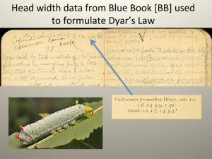 Dyar's Law Pages from Dyar 150th Transcriptions 2016