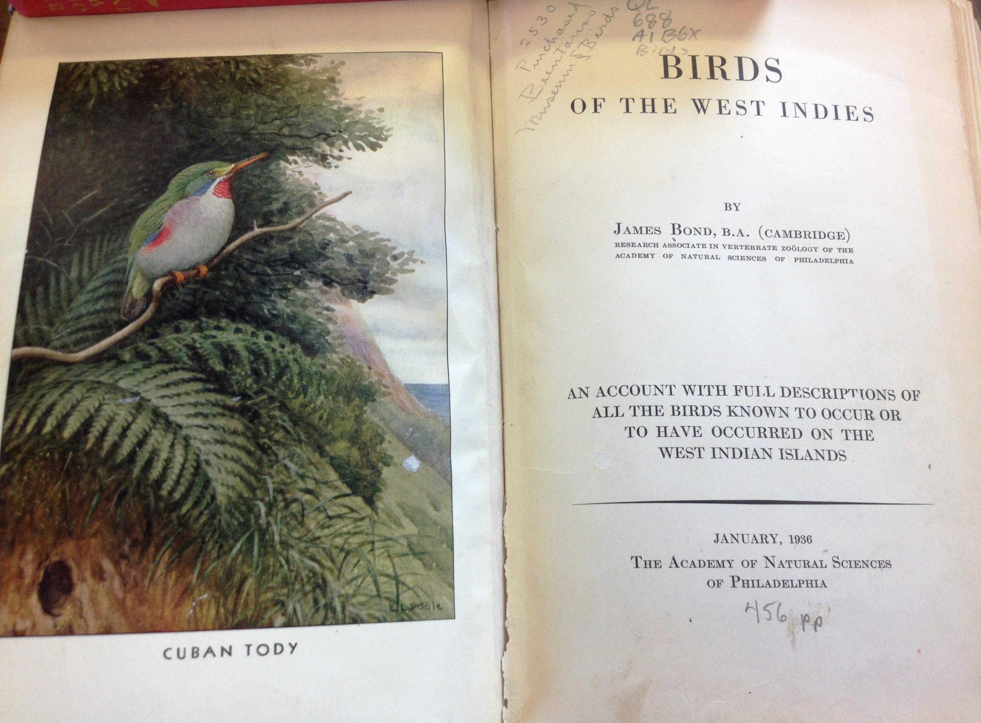 Field guide to birds of the west indies james bond Bond James Bond The Birds The Books The Bond Smithsonian Libraries Unbound