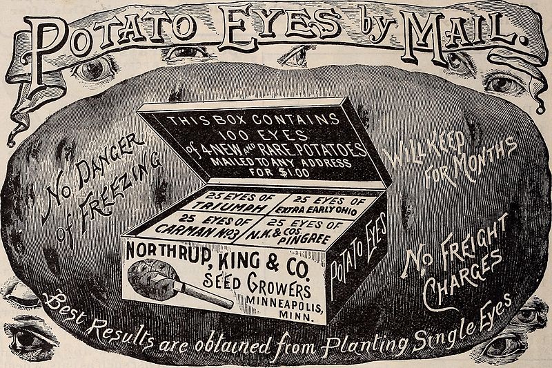 "Good seeds at fair prices": trade literature of 1902 from Minneapolis, Minnesota (image from Wikimedia Commons)