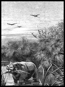 Scene from the Sudd from Wilhelm Junker’s, Travels in Africa during the Years 1875-1878 (London: Chapman, 1890), 39.