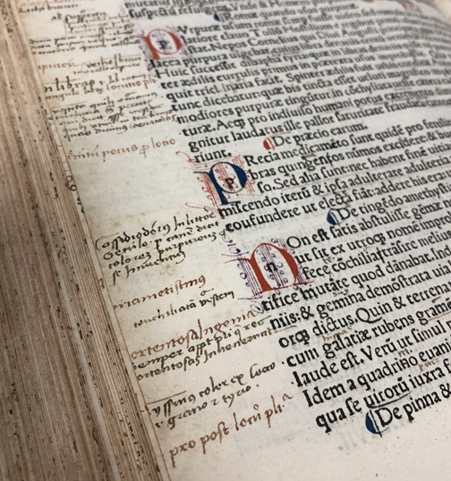 So you don't have to go to the trouble of reading:' Indexing, note-taking,  and correction-making in Pliny's 1491 Naturalis Historia – Smithsonian  Libraries and Archives / Unbound