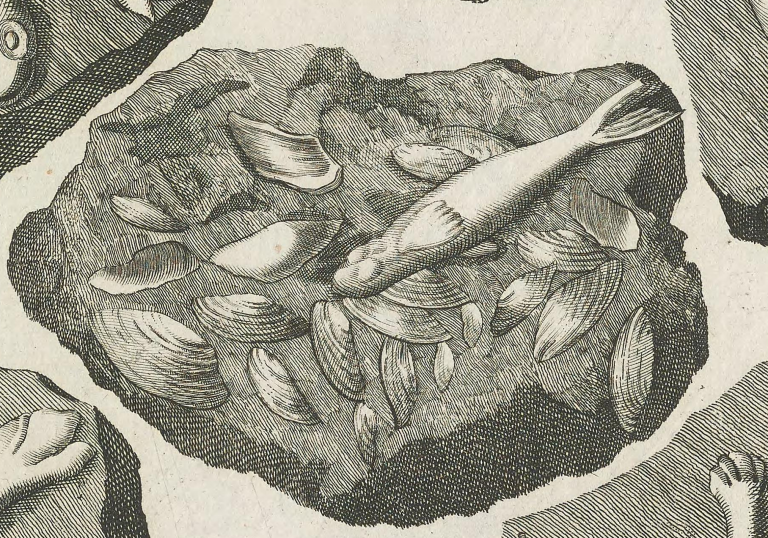 A Heavy Hoax The “Lying Stones” of Johann Beringer Smithsonian