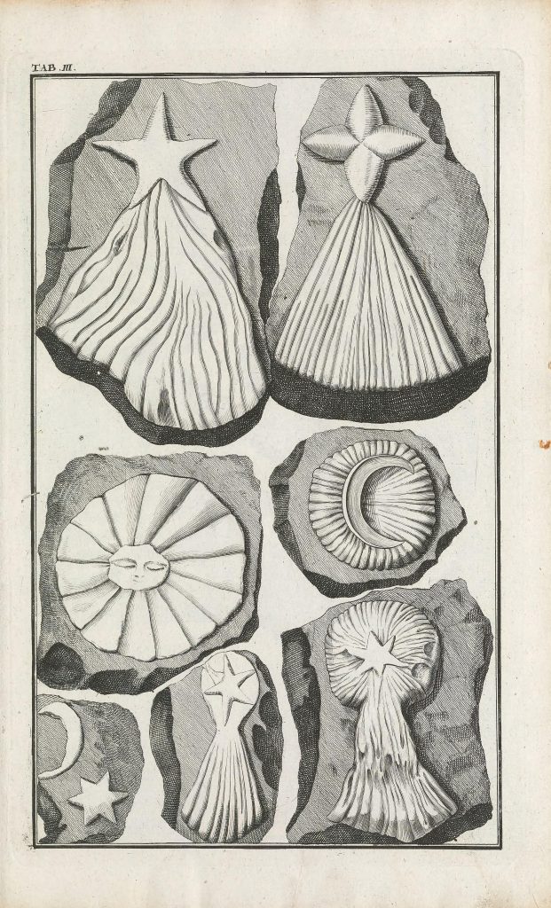 Engraved image of hoax fossils containing celestial elements described by Beringer. 