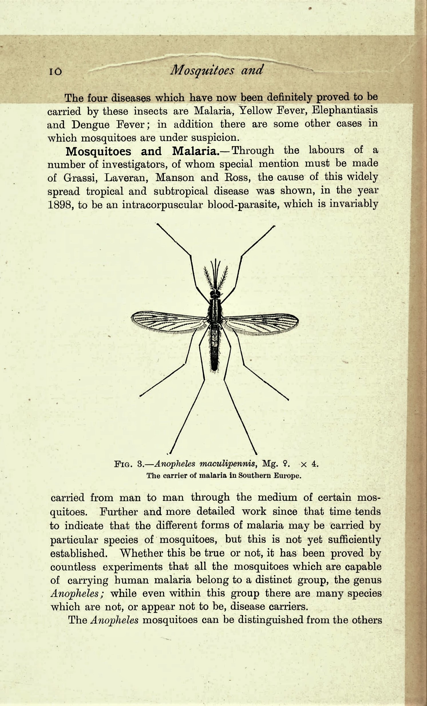 Mosquitoes and Mauve: a story of scientific discovery and the British ...