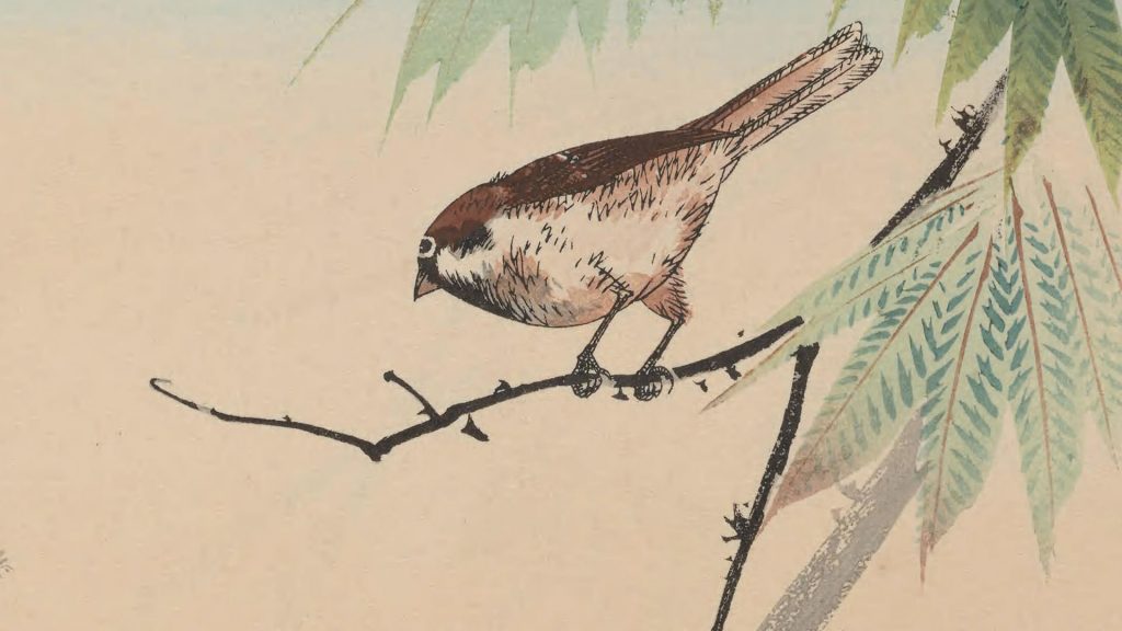 bird on a branch