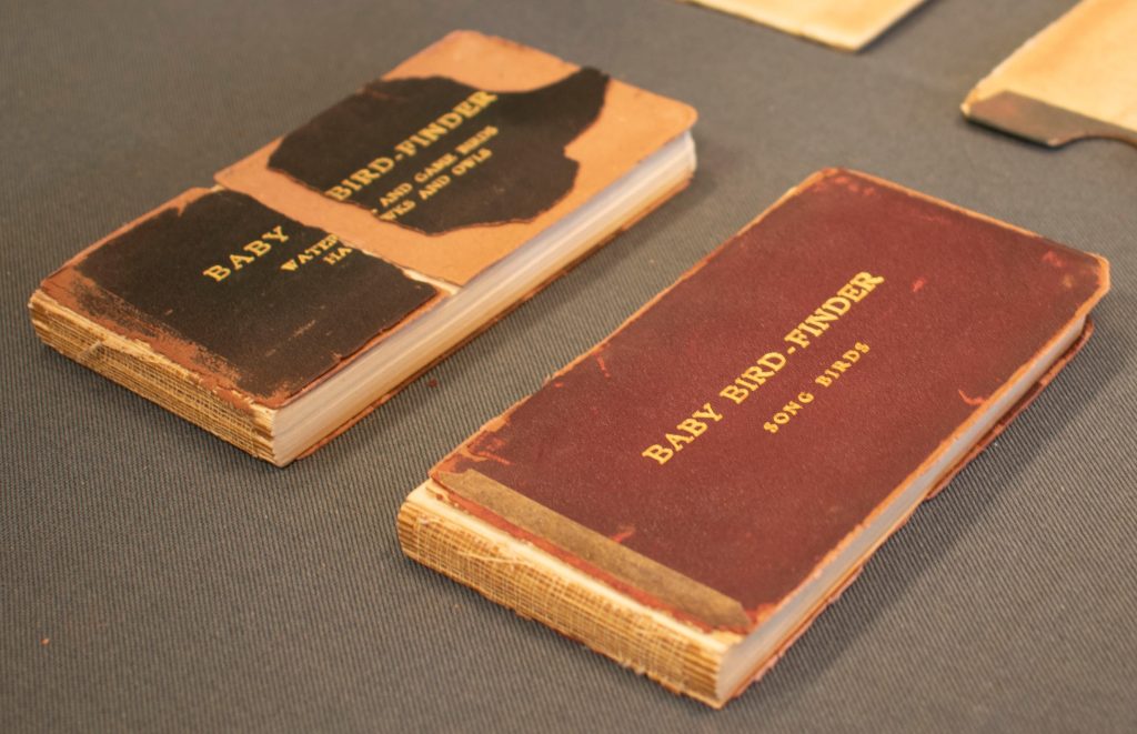 Photo of two book volumes bound in leather with missing spines.
