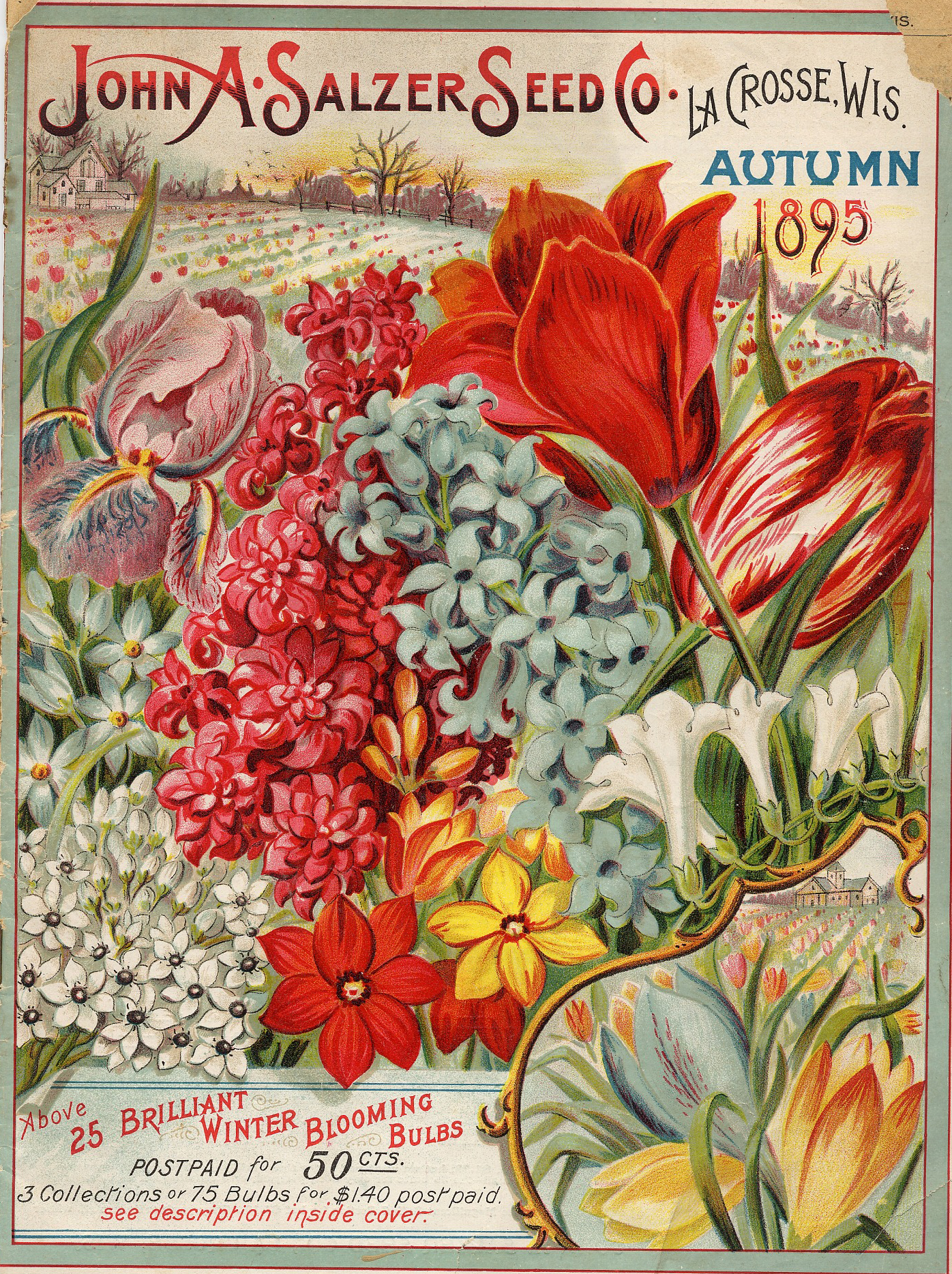 Digital Jigsaw Puzzles: Fall Edition – Smithsonian Libraries and Archives /  Unbound