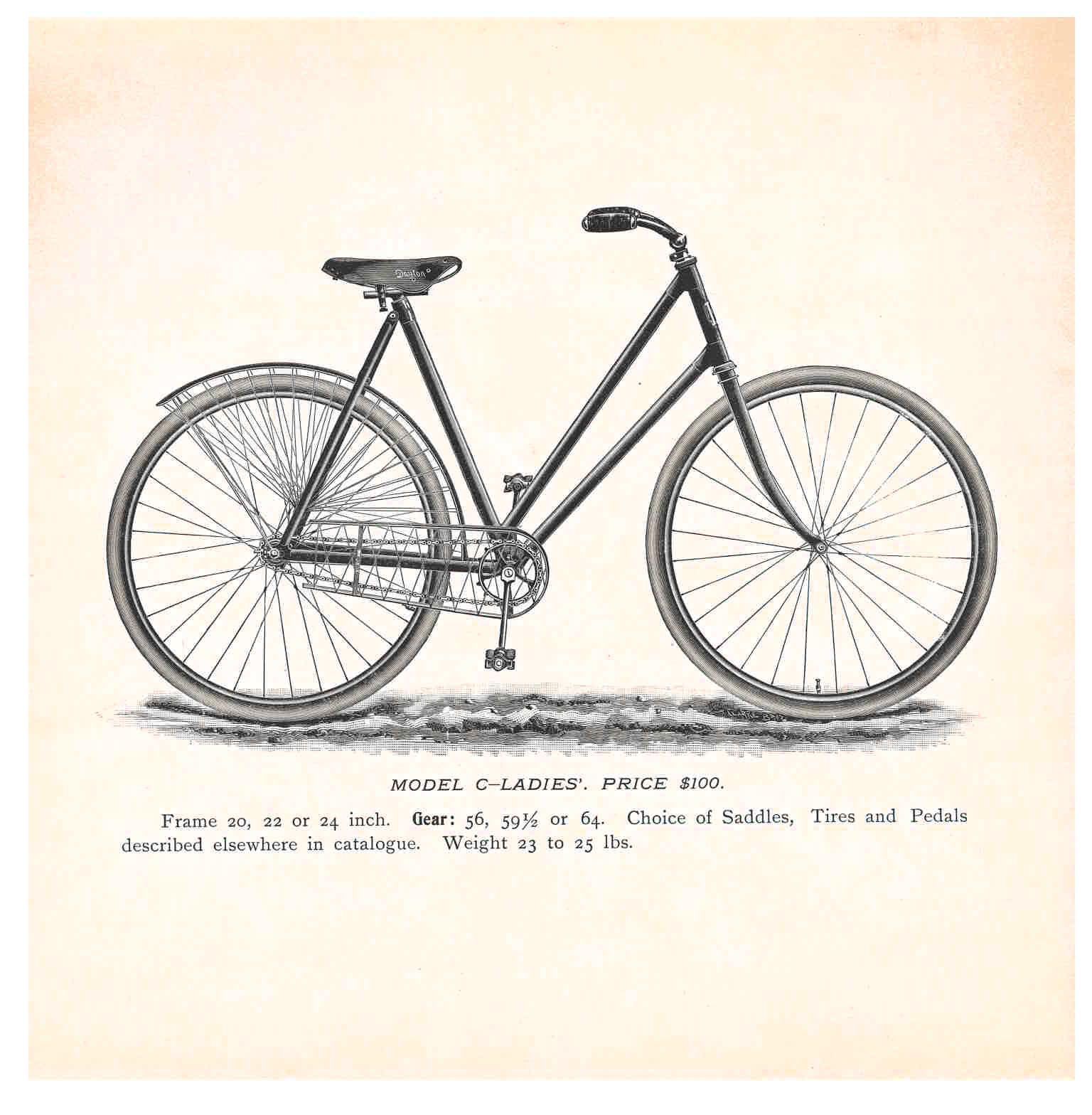 Model C-Ladies’ Bicycle