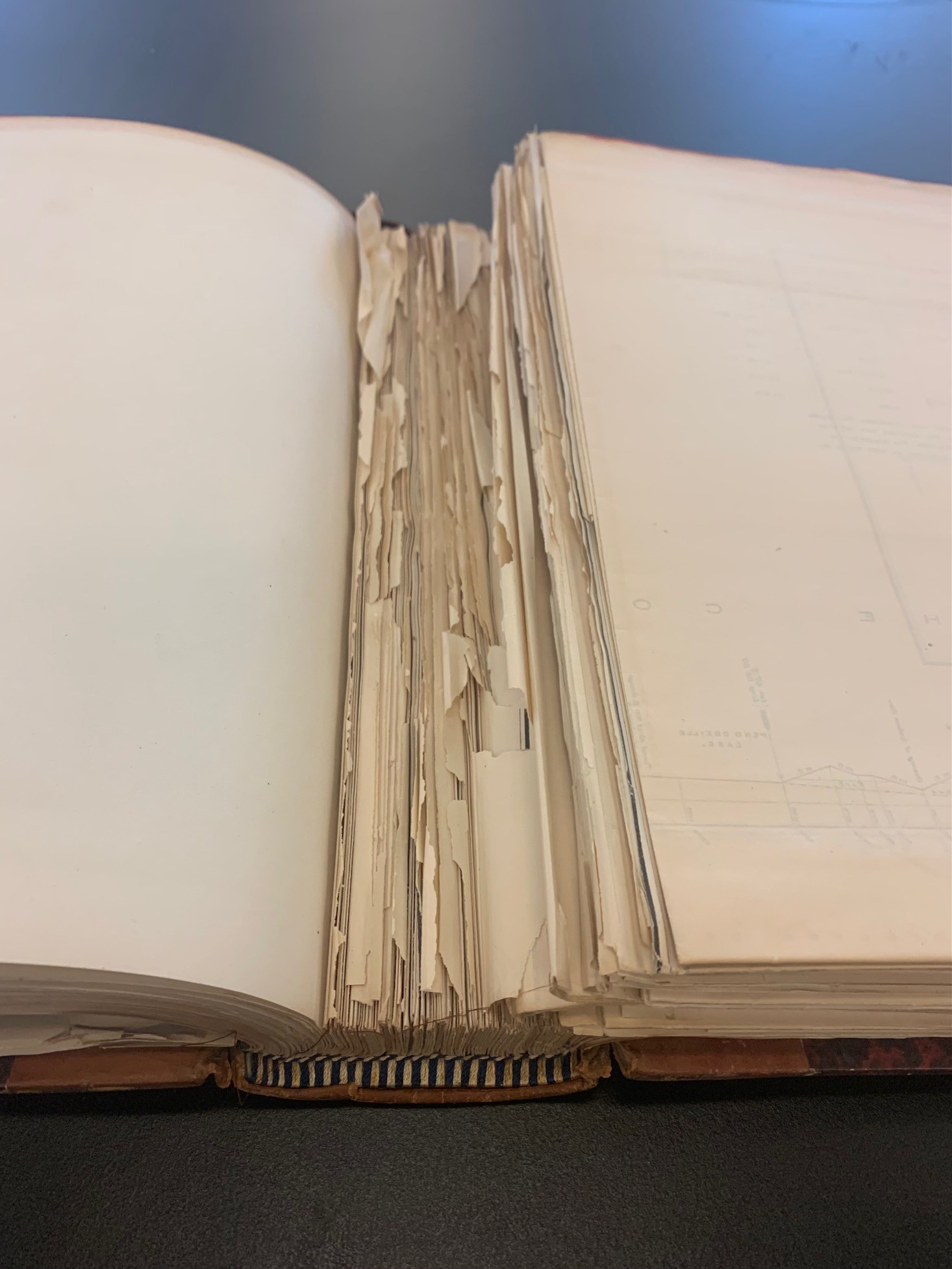 Bookbinding techniques
